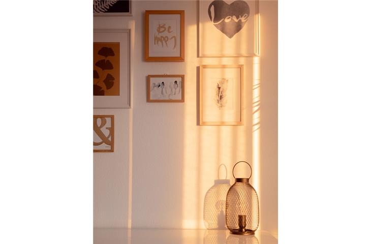 double swing hinges home depot