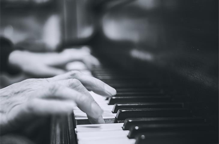 spring loaded piano hinge