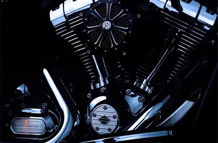 chrome hinges