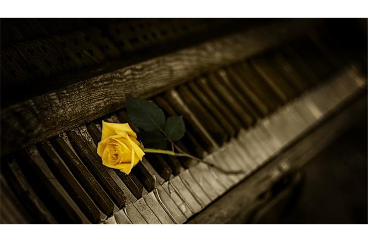 long piano hinge