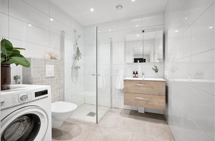 mortise lock bathroom