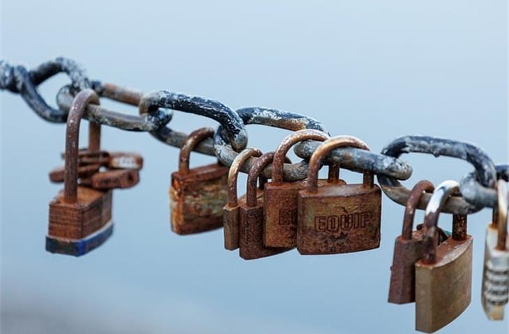 enclosure locks and latches