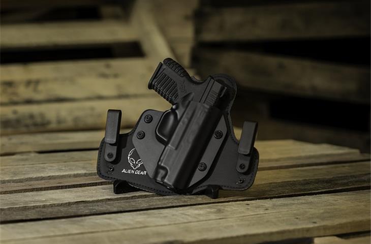 concealed gate hinges