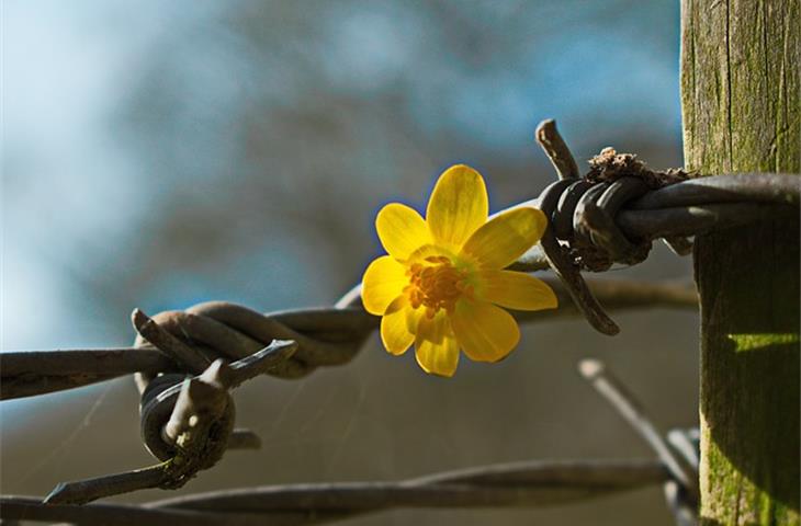 different hinges