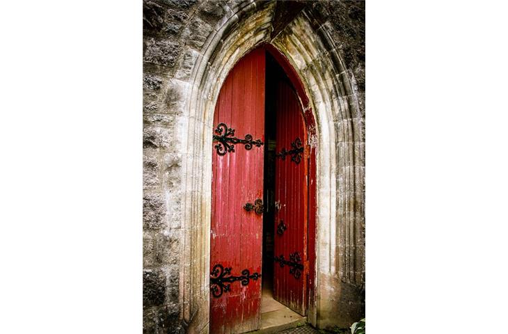 double side open door hinges