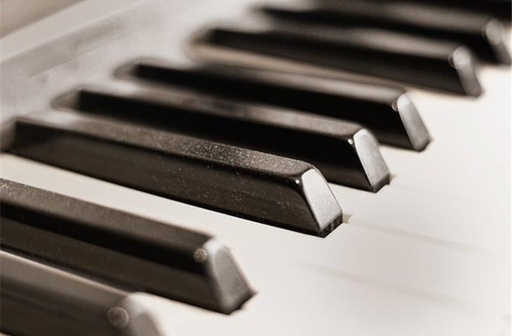 invisible piano hinge
