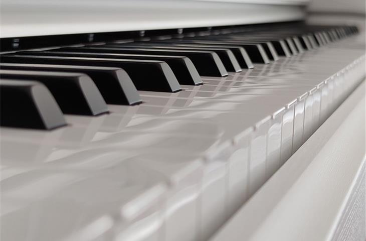 invisible piano hinge