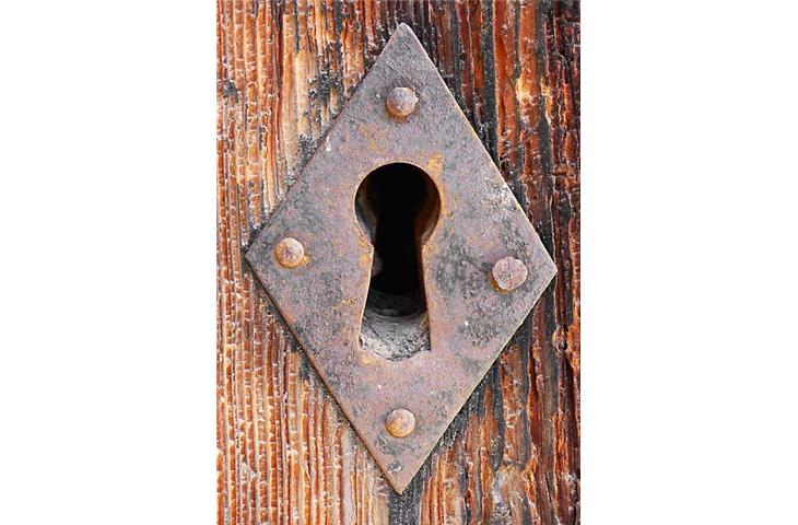 lock protectors