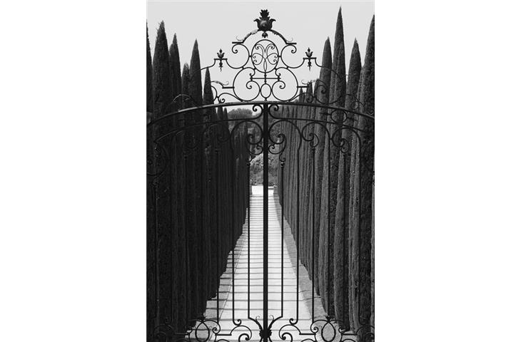 entrance gate hinges