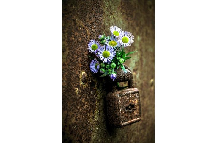 door padlock hardware