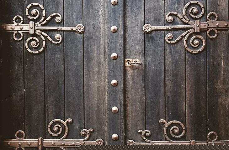 door hinges that swing both ways