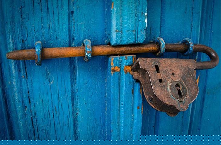 coldroom door hinges